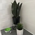 Apartman Mila Ugljan