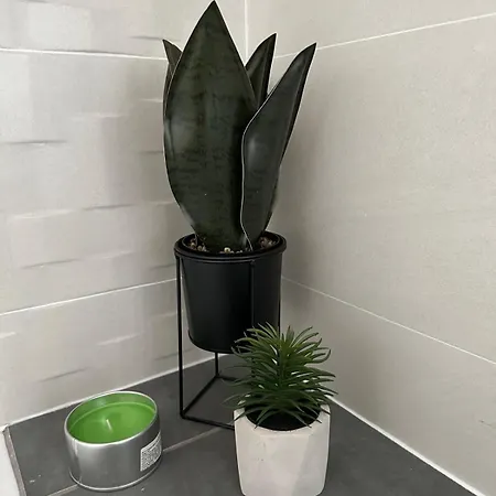 Apartment Mila Ugljan