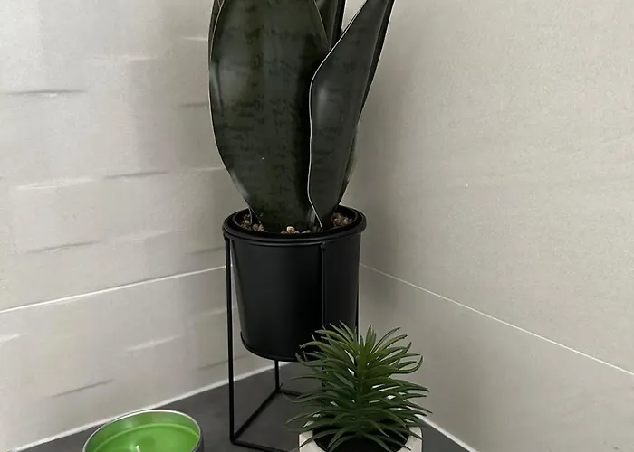 Apartman Mila Ugljan